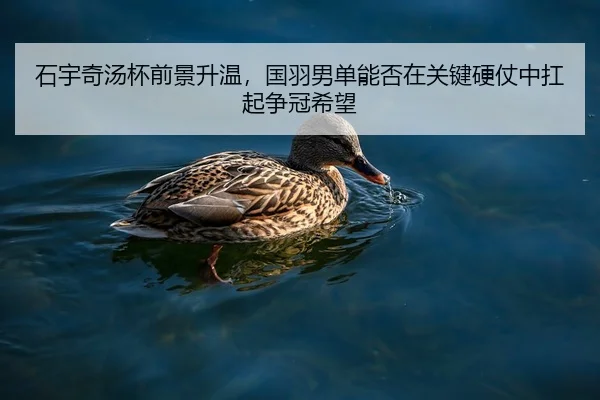 石宇奇汤杯前景升温，国羽男单能否在关键硬仗中扛起争冠希望